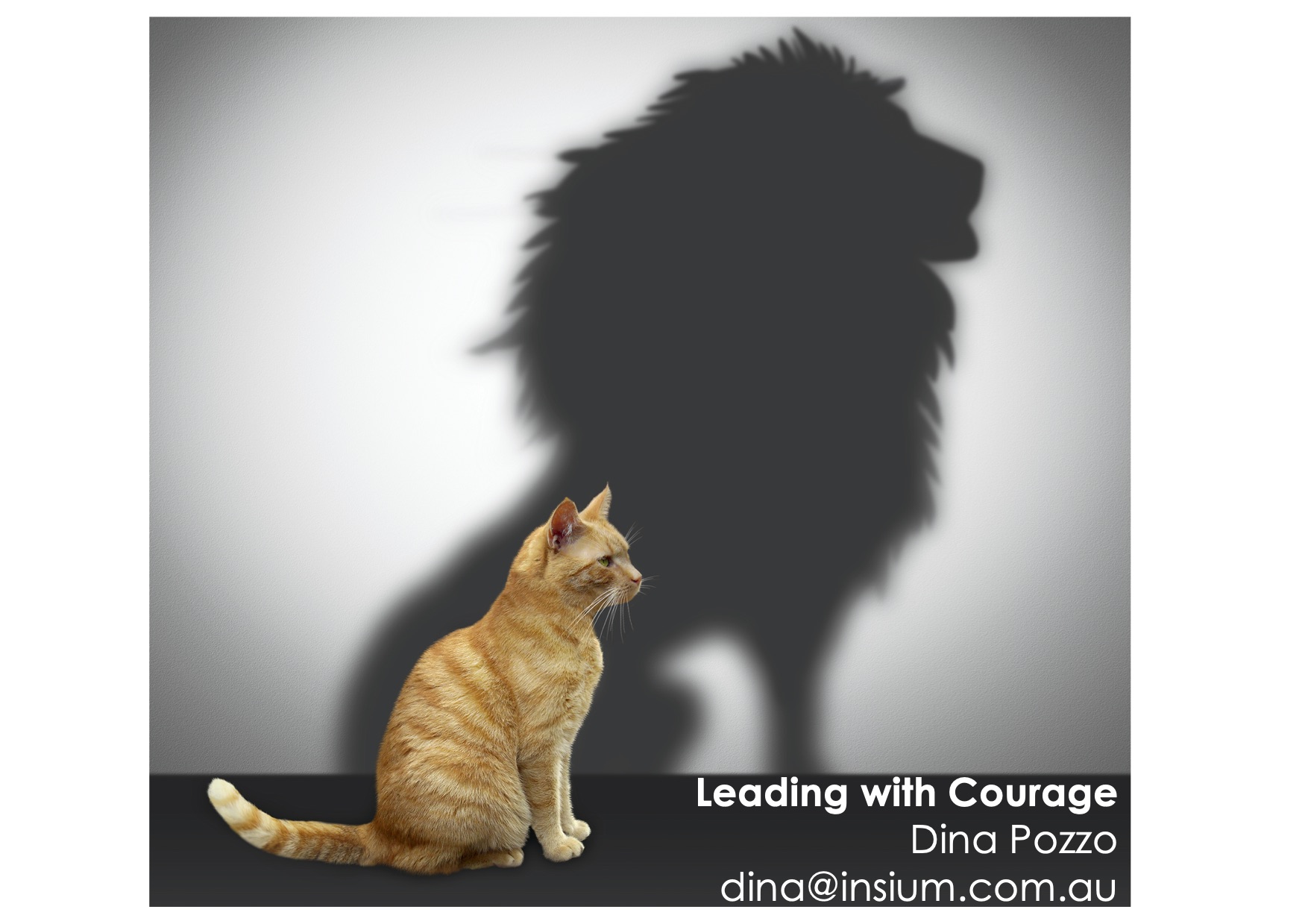 Leading with courage_presentation_IPPA